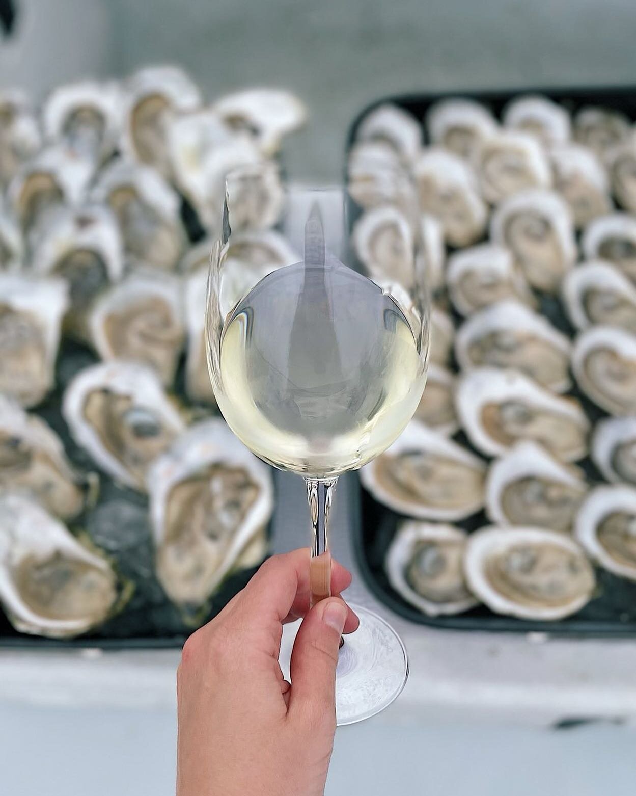 🦪🍷🎁 Looking for the perfect gift for your partner, parents, or maybe your favorite client? Gift them a gift card for &lsquo;Tickets for Two to a Wine + Oyster Sail!&rsquo; What&rsquo;s more romantic than sharing a magical afternoon sailing through